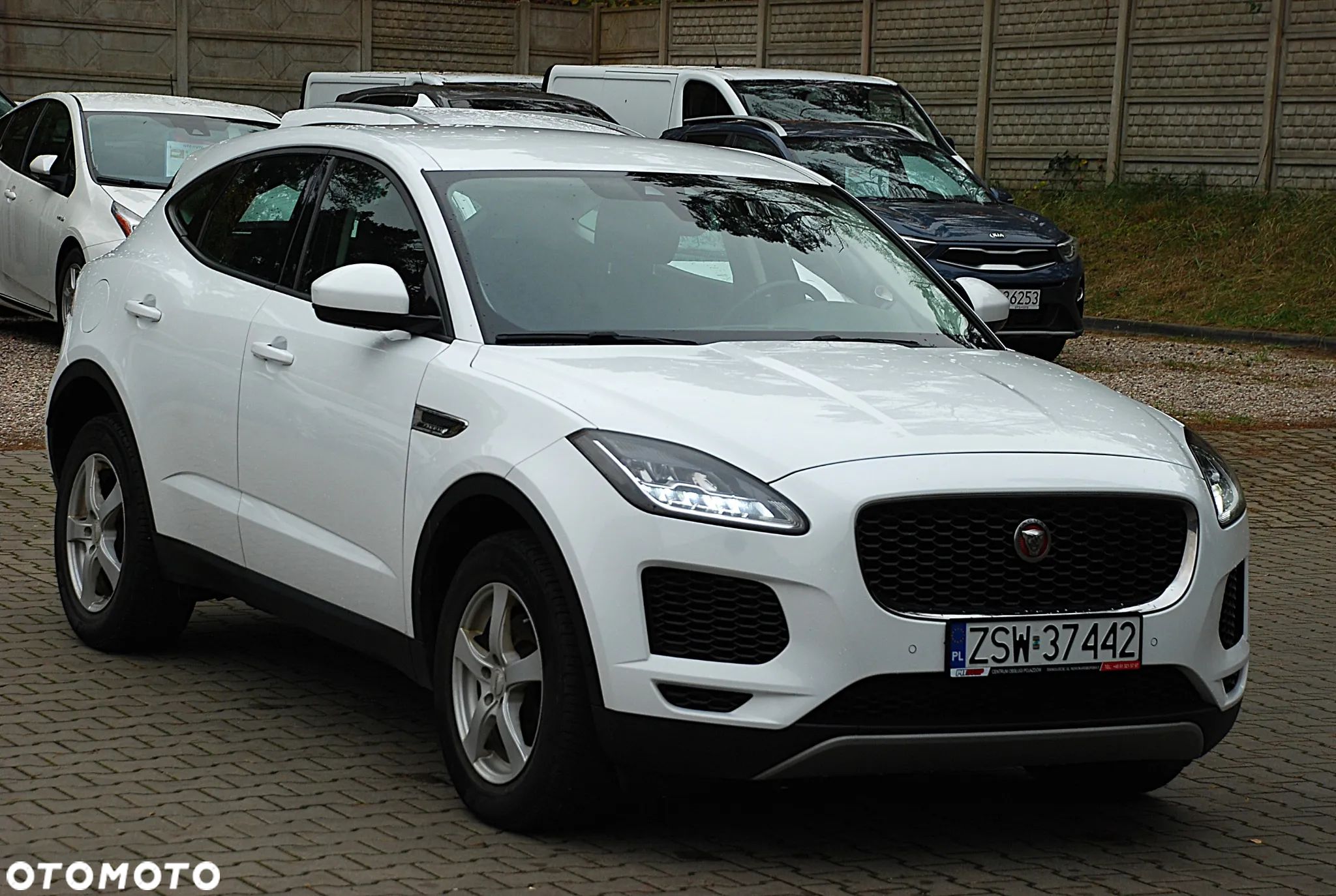 Jaguar E-Pace D150 R-Dynamic - 1