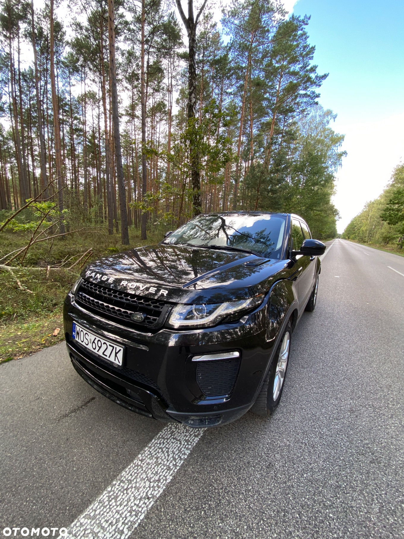 Land Rover Range Rover Evoque 2.0TD4 SE Dynamic Special Edition - 12
