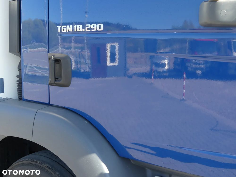 MAN TGM 18.290 / CHŁODNIA + WINDA / AUTOMAT / - 14