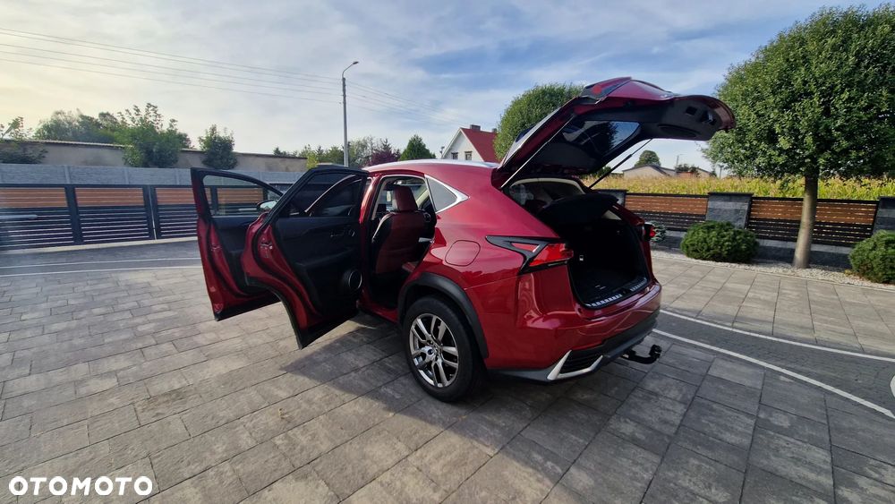 Lexus NX 300 Elegance AWD - 15