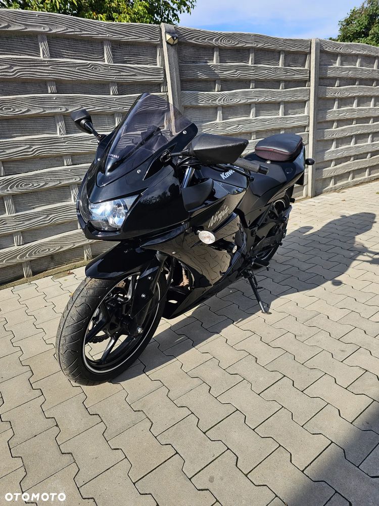 Kawasaki Ninja 250R - 1