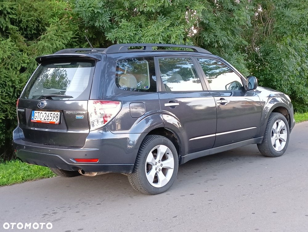 Subaru Forester - 6