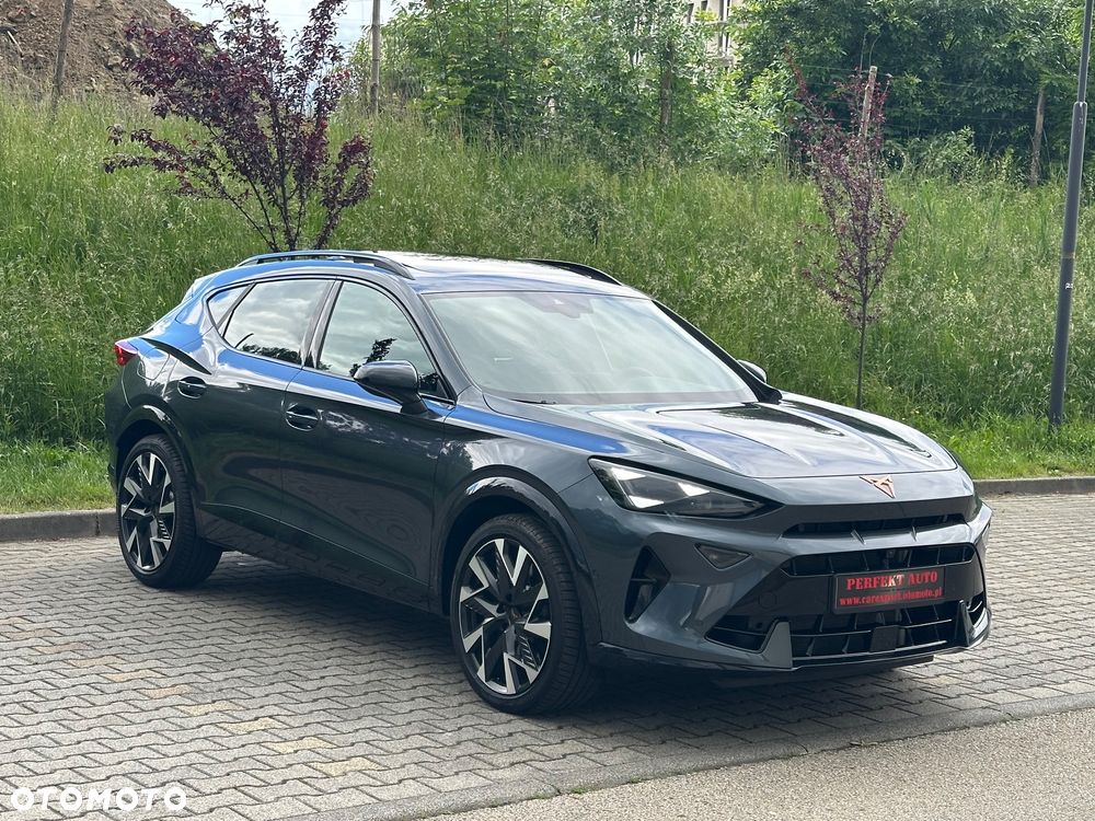 Cupra Formentor 2.0 TSI 4Drive DSG VZ - 17