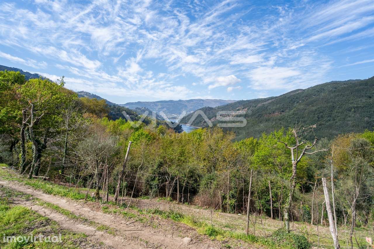 Terreno Rústico  Venda em Louredo,Vieira do Minho - Grande imagem: 5/21