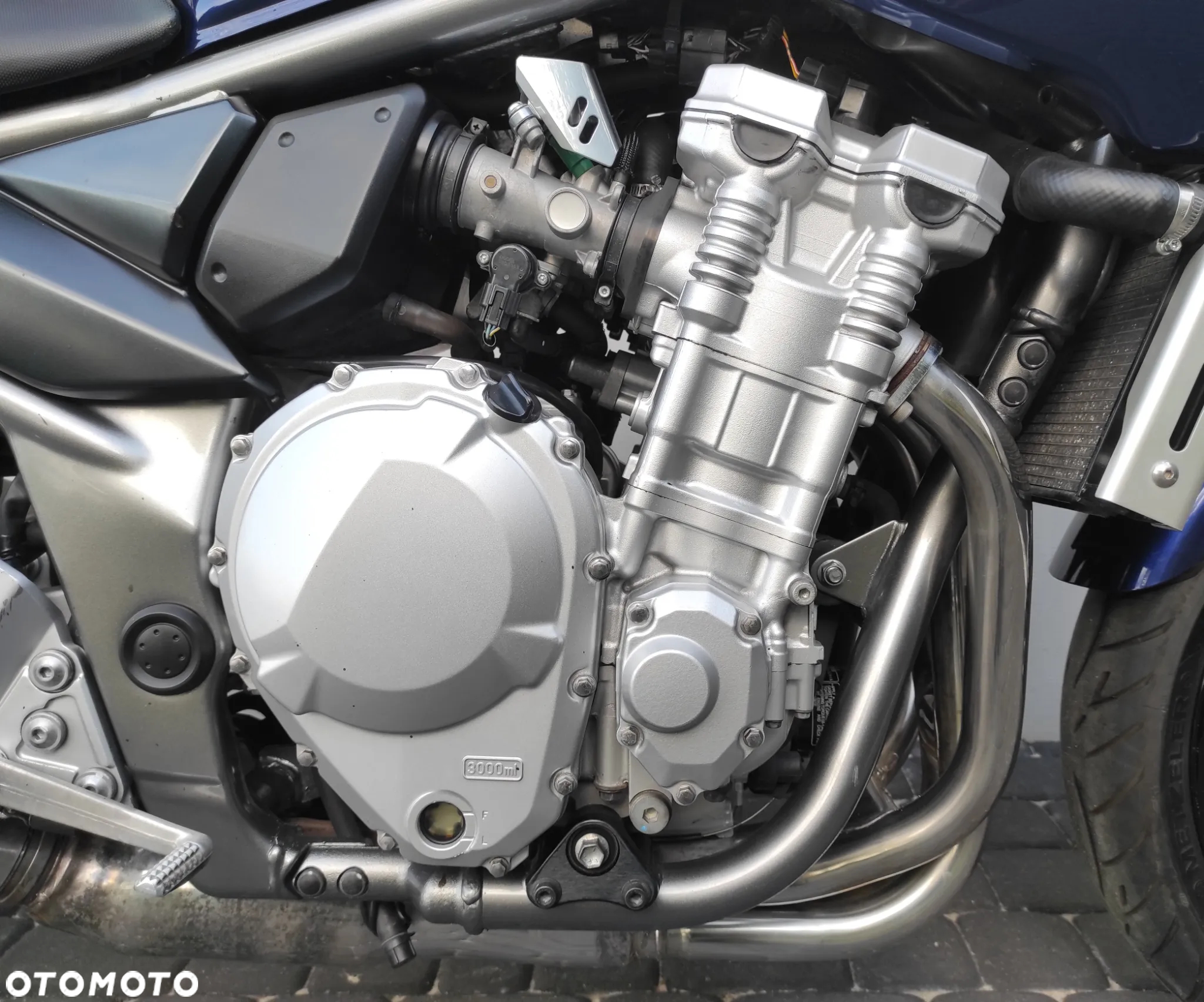 Suzuki Bandit - 11