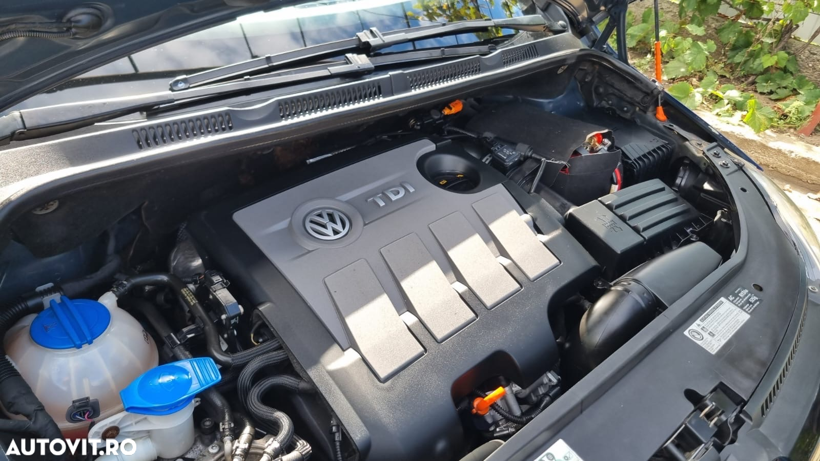 Volkswagen Golf Plus 1.6 TDI DPF Comfortline - 18