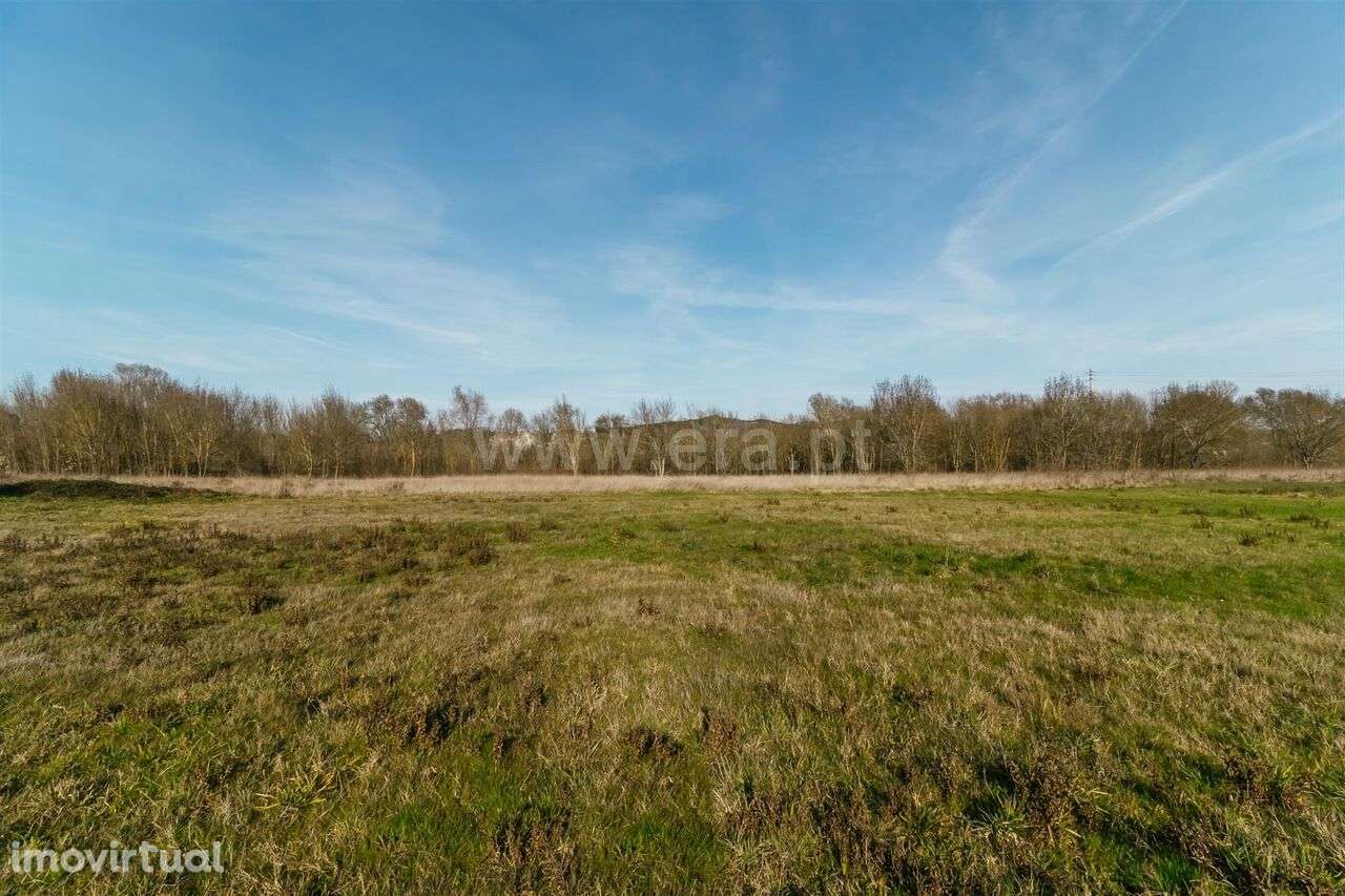 Terreno / Fundão, Alcaria - Grande imagem: 4/17