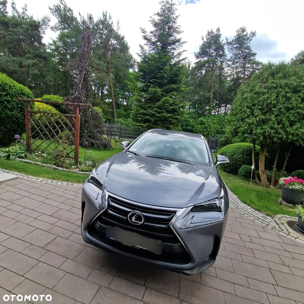 Lexus NX - 3