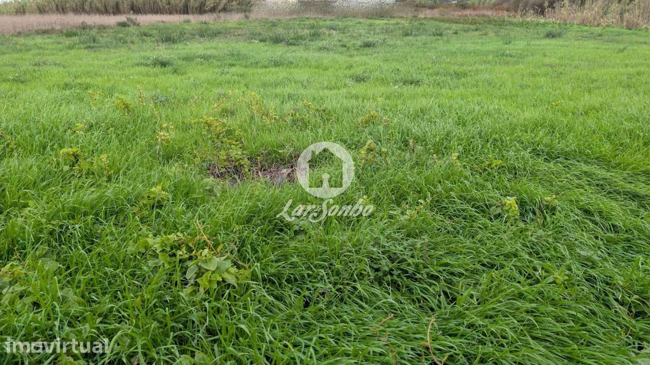 Terreno para moradias com 6.700m2 em Vilar, Vila do Conde - Grande imagem: 3/10