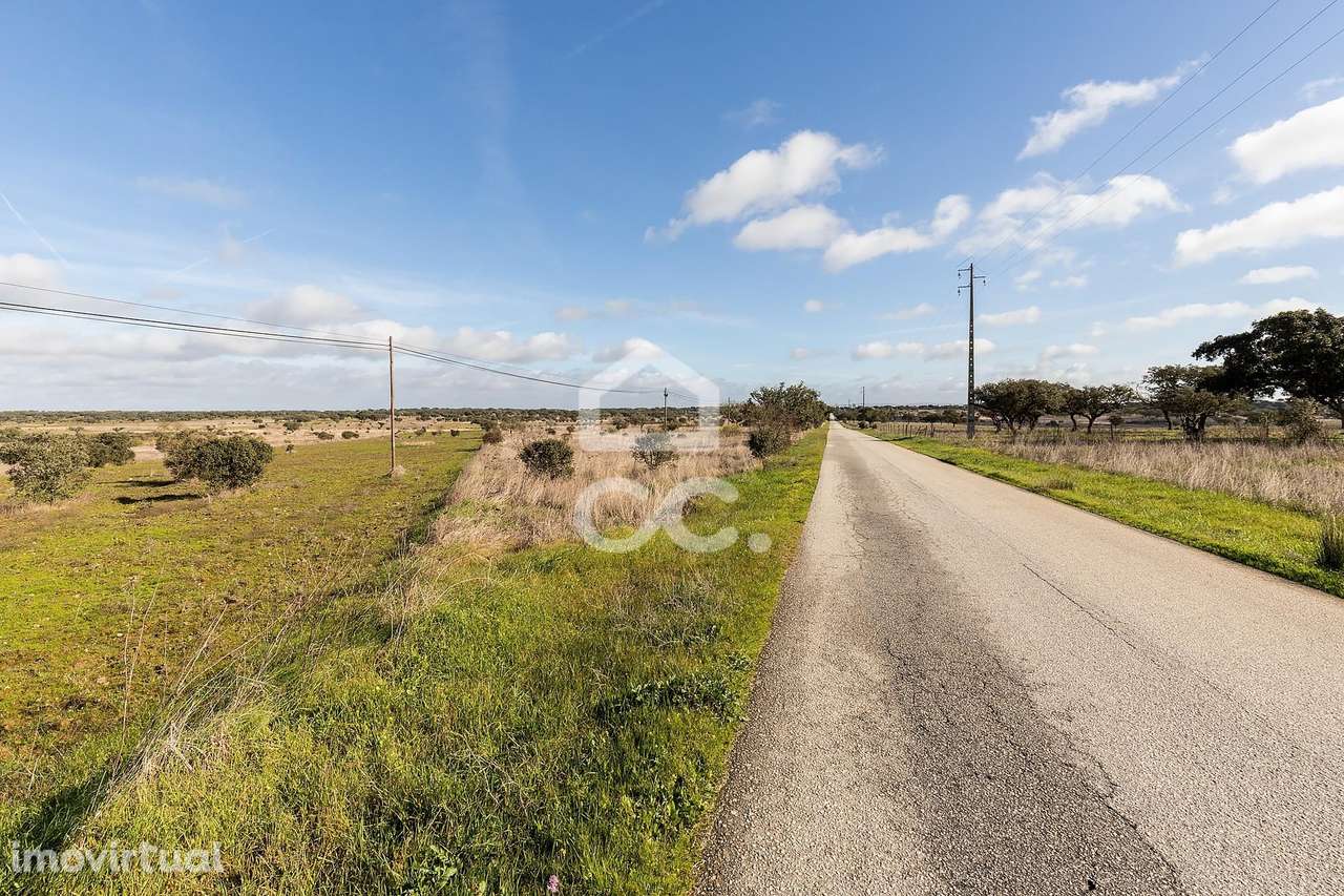 Terreno de 5,4 ha c/ Viabilidade de Construção | Capelins, Alandroal - Grande imagem: 3/50