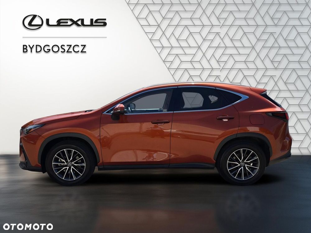 Lexus NX 350h Prestige 2WD - 7
