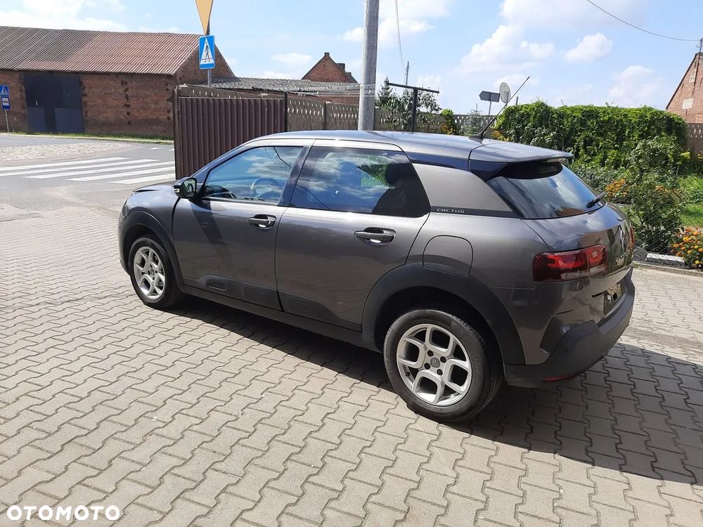 Citroën C4 Cactus - 10