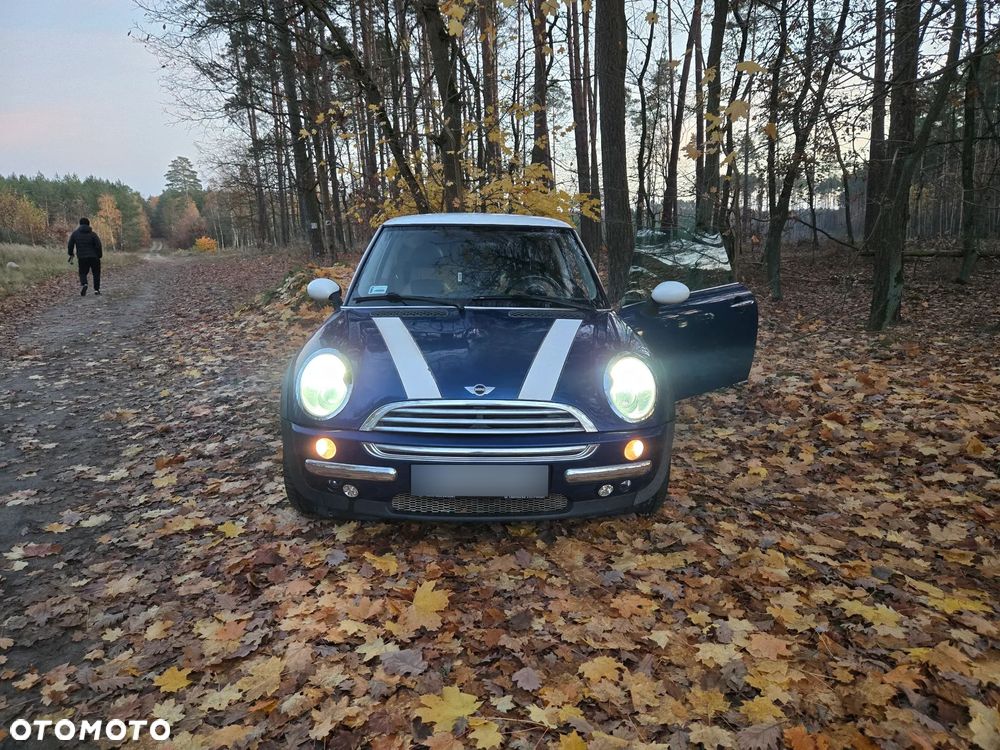 MINI Cooper chili - 3