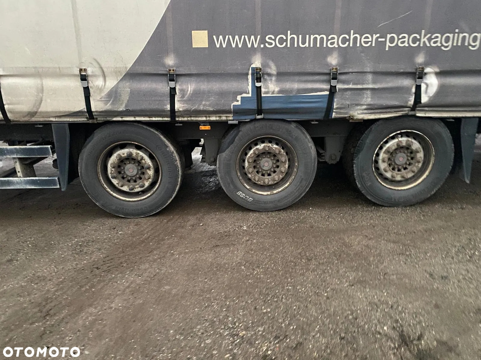 Schmitz Cargobull - 2