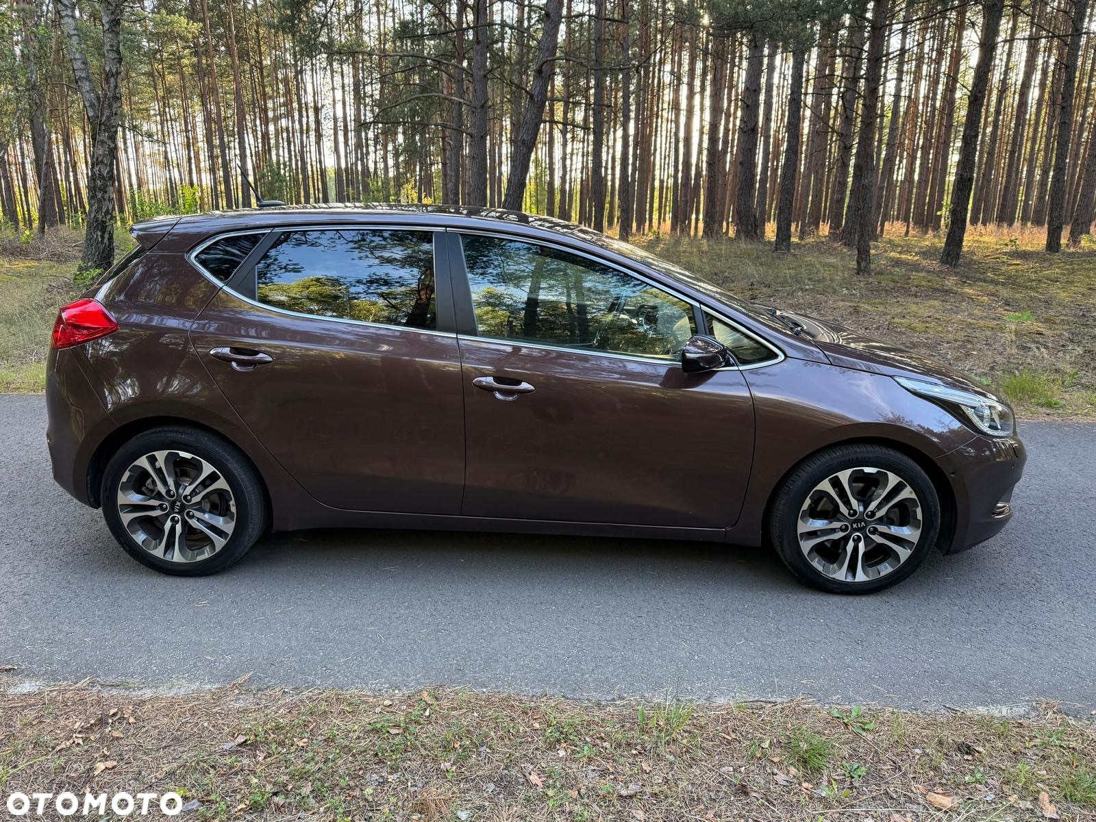 Kia Ceed 1.6 GDI Fifa World Cup Edition - 12