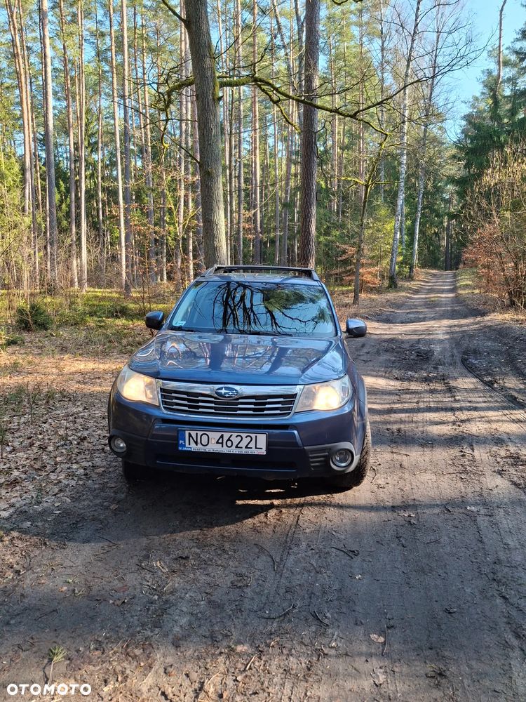 Subaru Forester - 4