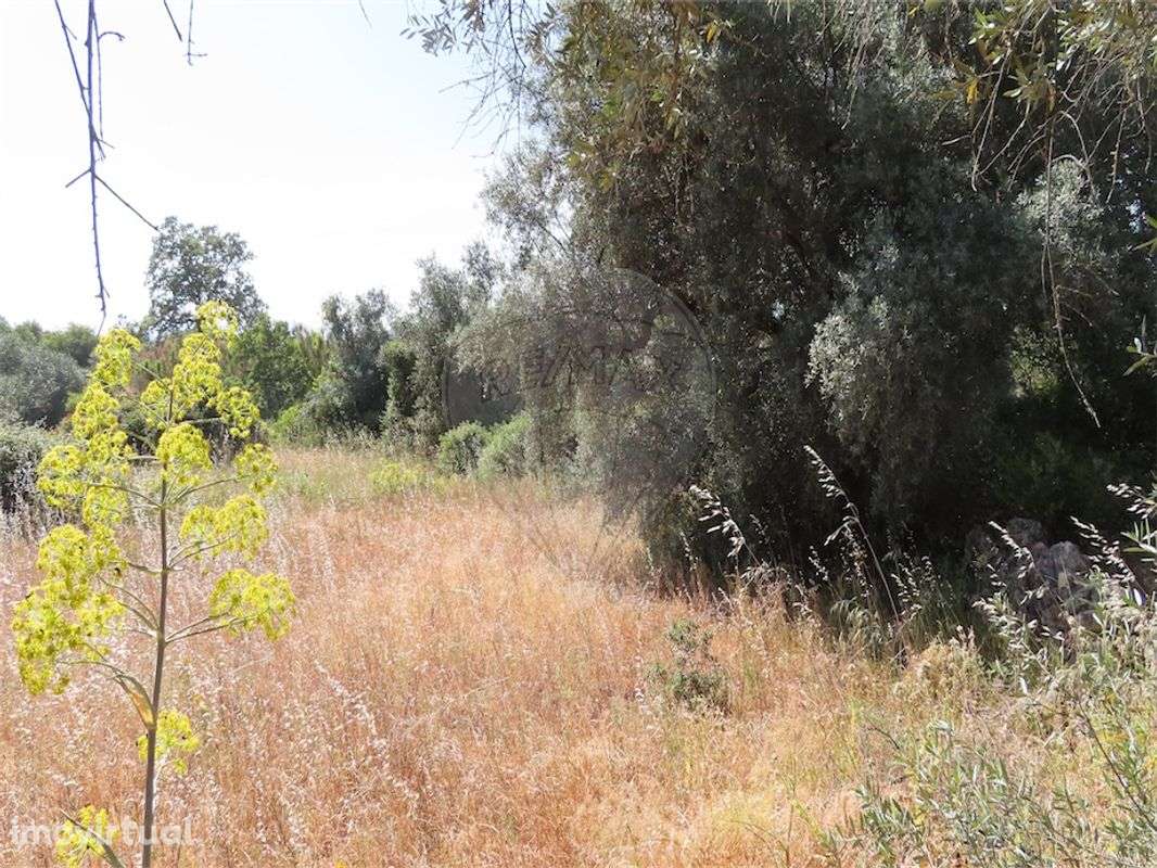 Quinta  para venda - Grande imagem: 5/10