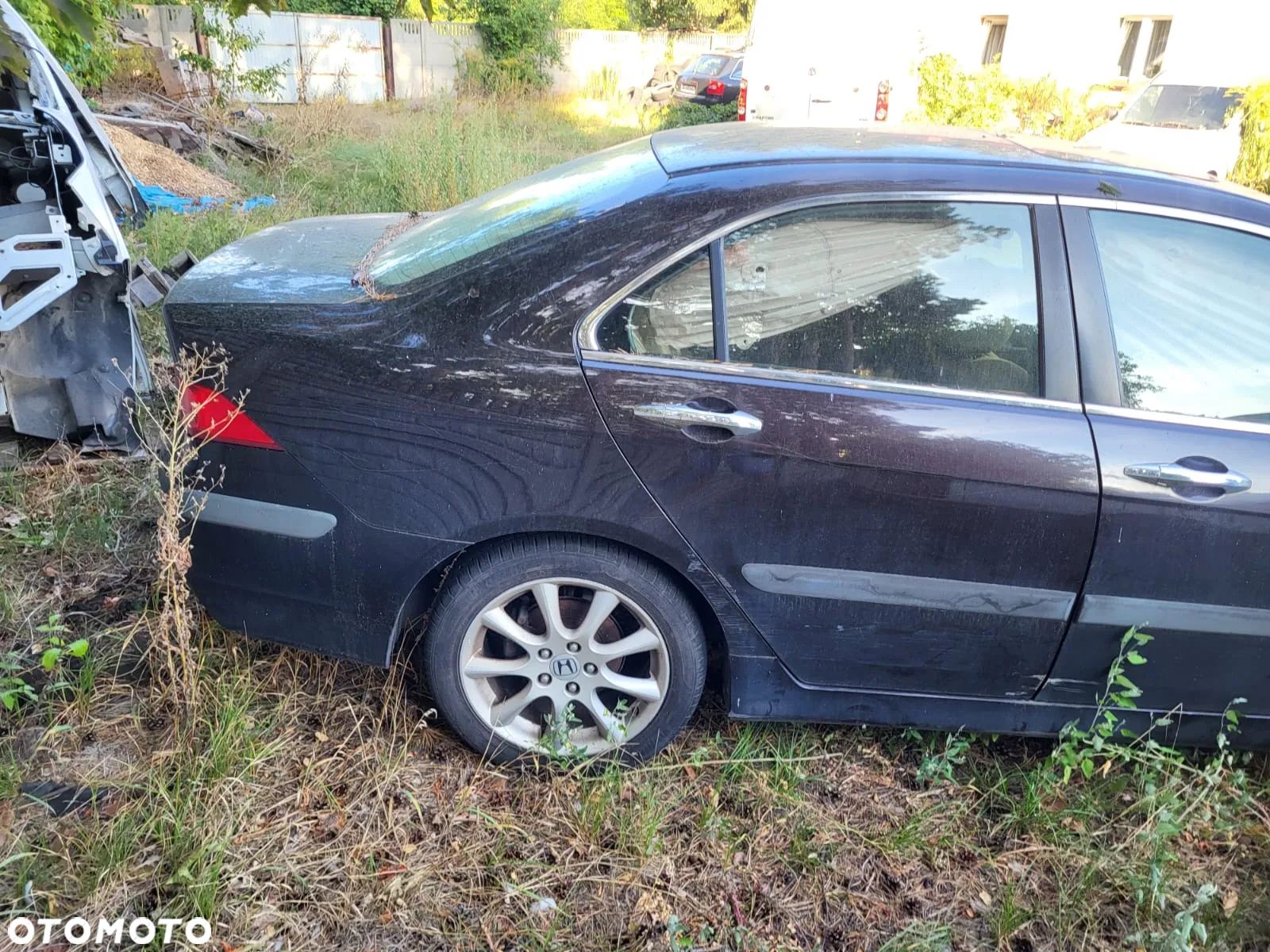 Honda Accord 2.4 Executive (lea) - 7
