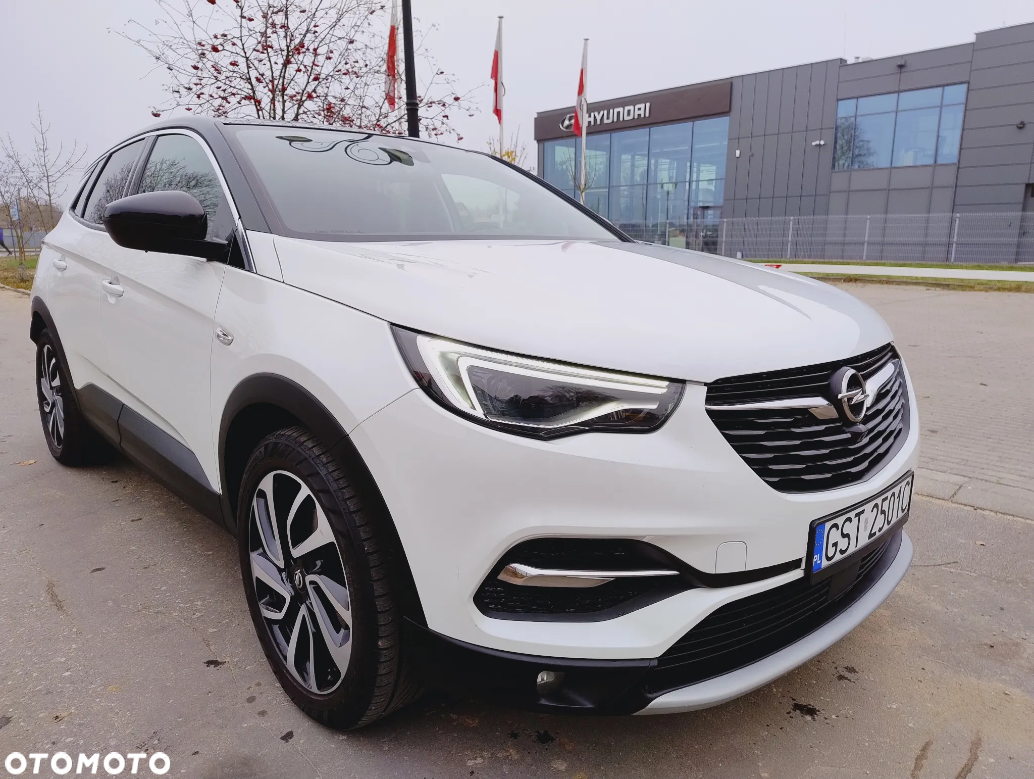 Opel Grandland X 1.6 CDTI Ultimate S&S - 4