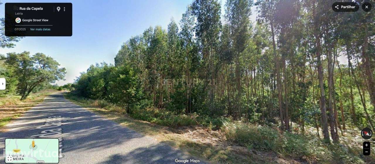 Terreno Rústico – Pinhal e Mato | 1.100 m² | Vila Facaia – Pedrógão Gr - Grande imagem: 5/5