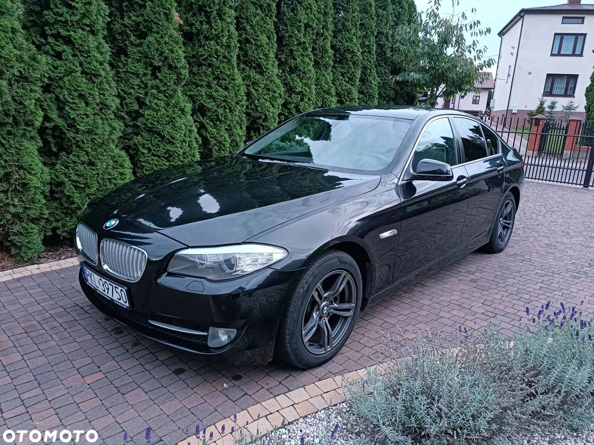 BMW Seria 5 520d - 21