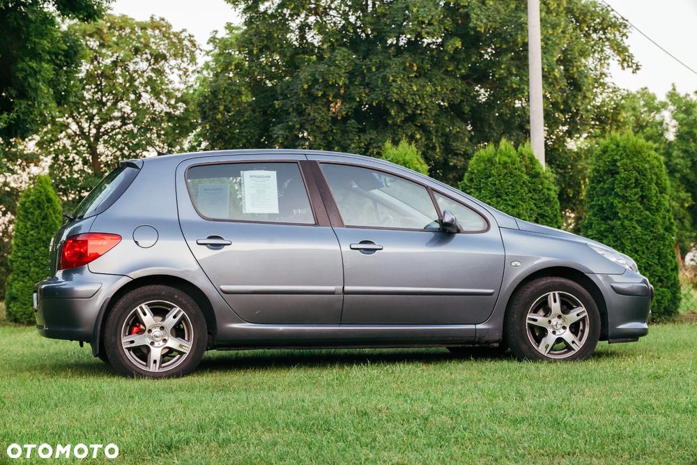 Peugeot 307 1.4 Oxygene - 6
