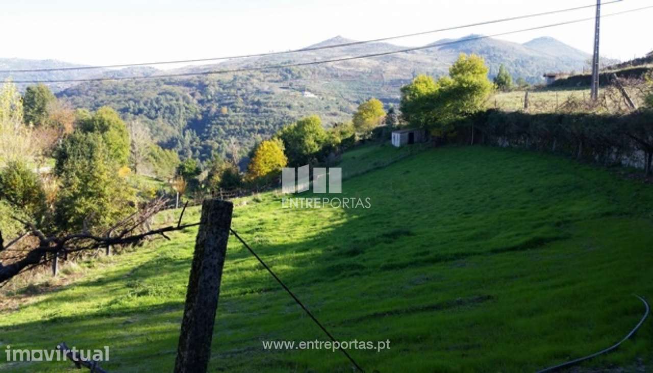 Venda Terreno, vista desafogada, Ovil, Baião - Grande imagem: 2/12