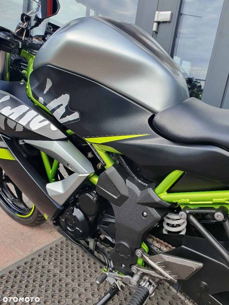 Kawasaki Ninja - 13