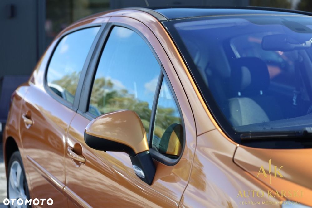 Peugeot 207 - 16