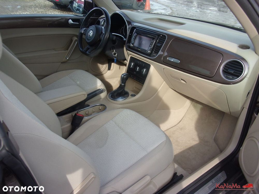 Volkswagen Beetle - 16