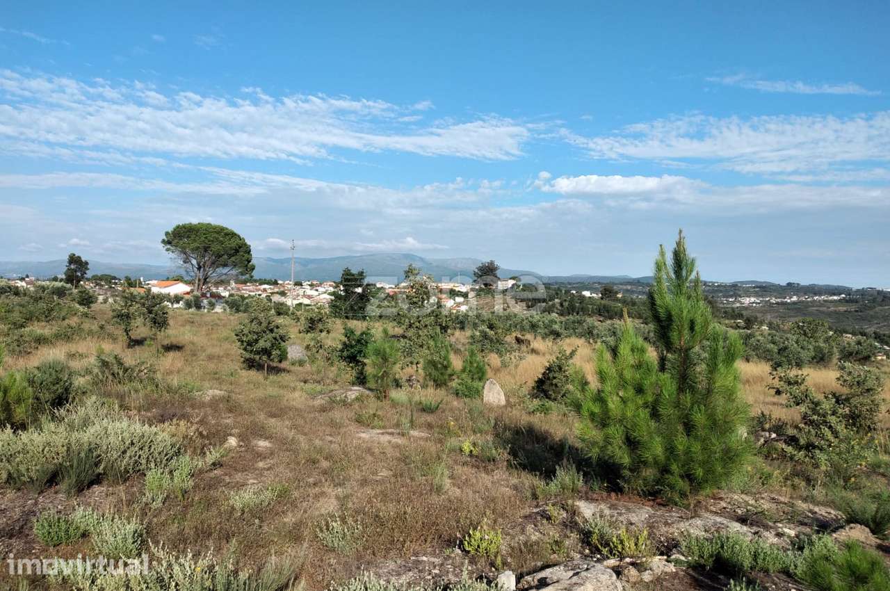 Terreno 1490m2 em Lagares - Coimbra - Grande imagem: 2/15