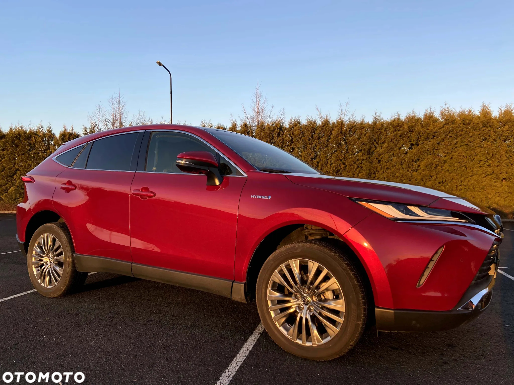 Toyota Venza - 6