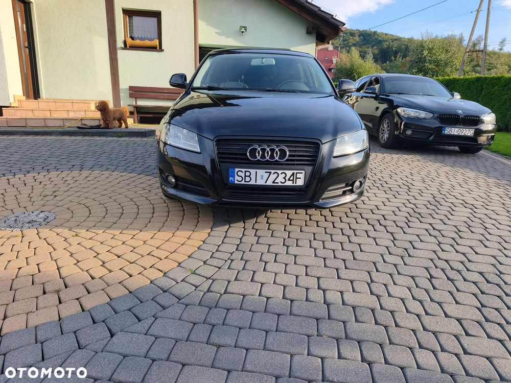 Audi A3 3-drzwiowe 1.6 Limited Edition - 18