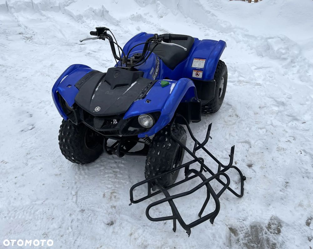 Yamaha Grizzly - 1