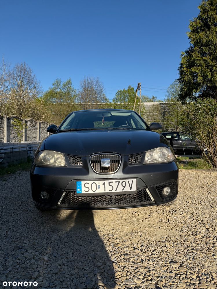 Seat Ibiza - 19