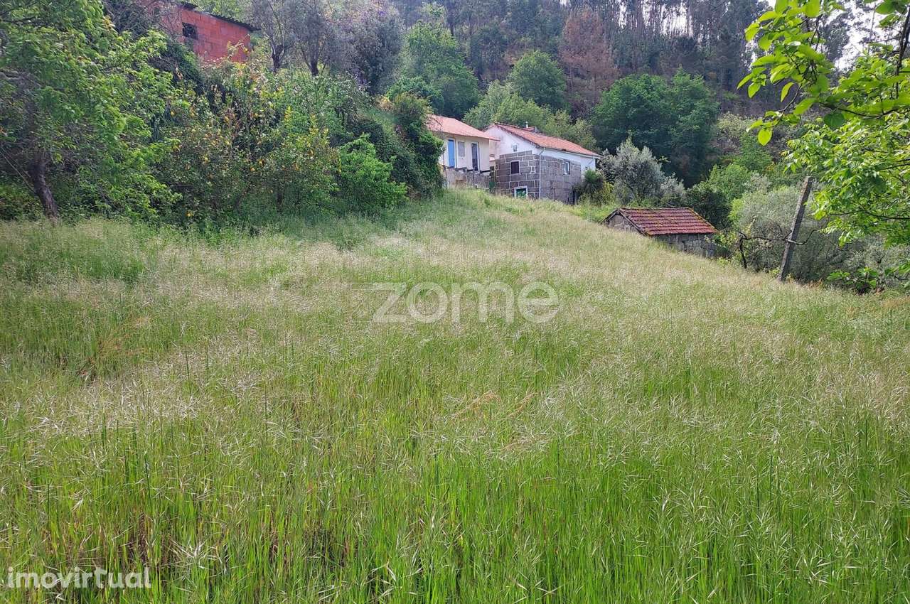 Terreno urbano com ruína - Grande imagem: 5/15