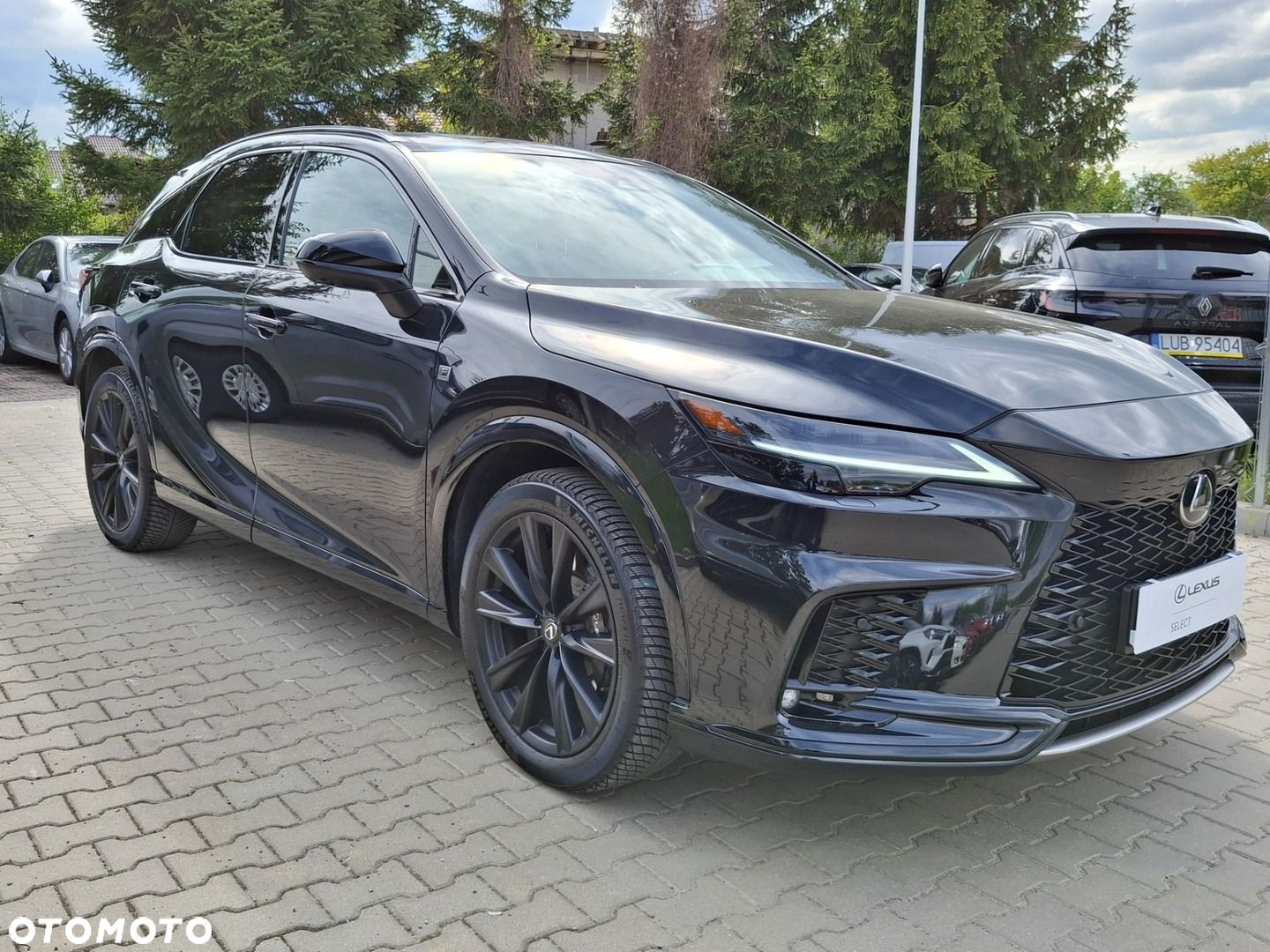 Lexus RX - 29