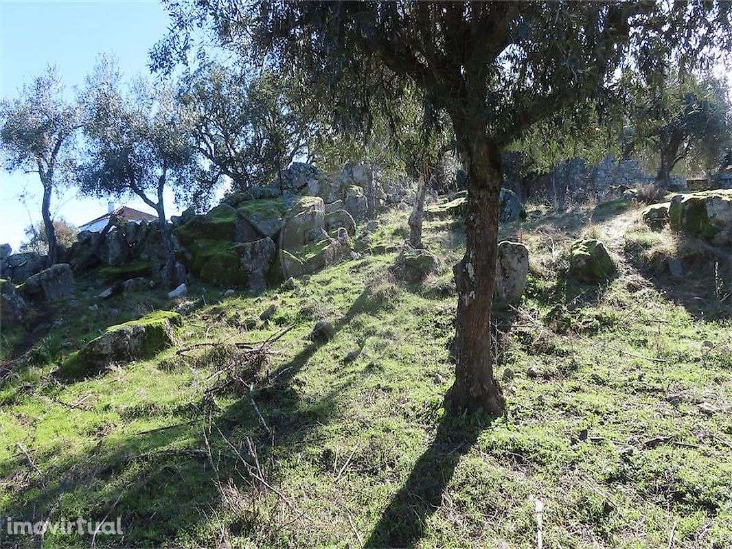 Quinta  para venda - Grande imagem: 4/13