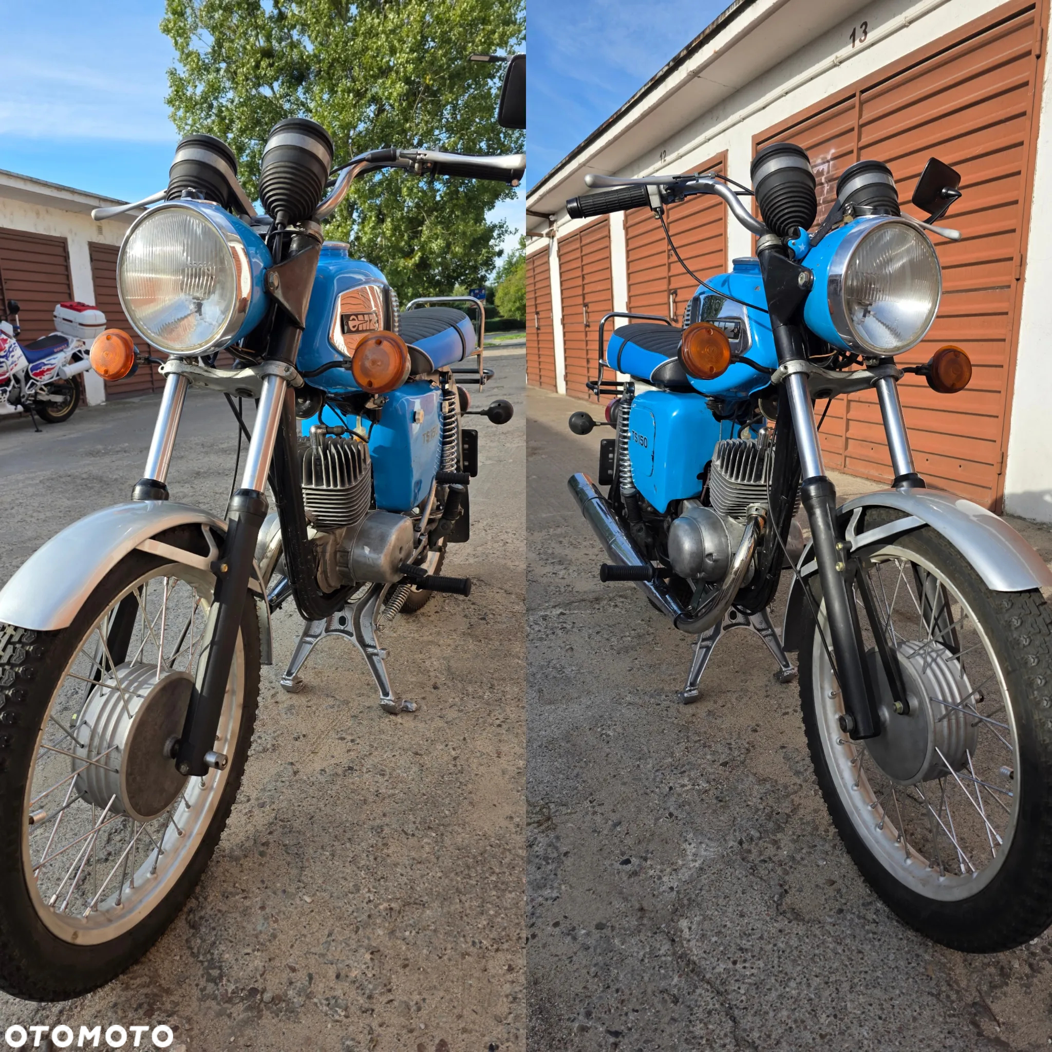 MZ TS - 6