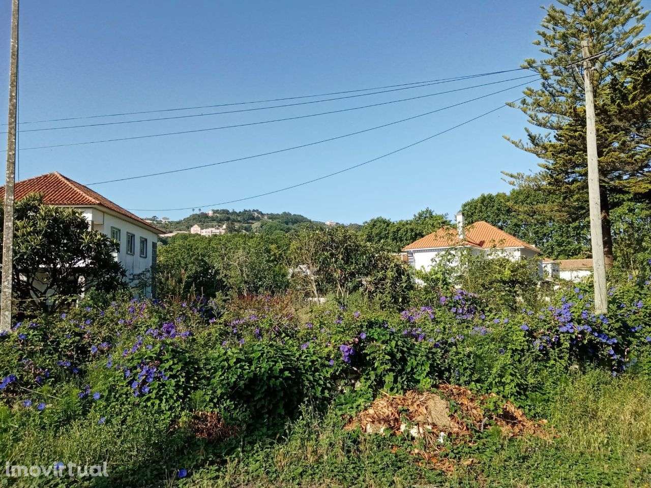 Terreno urbano em Colares - Grande imagem: 3/13