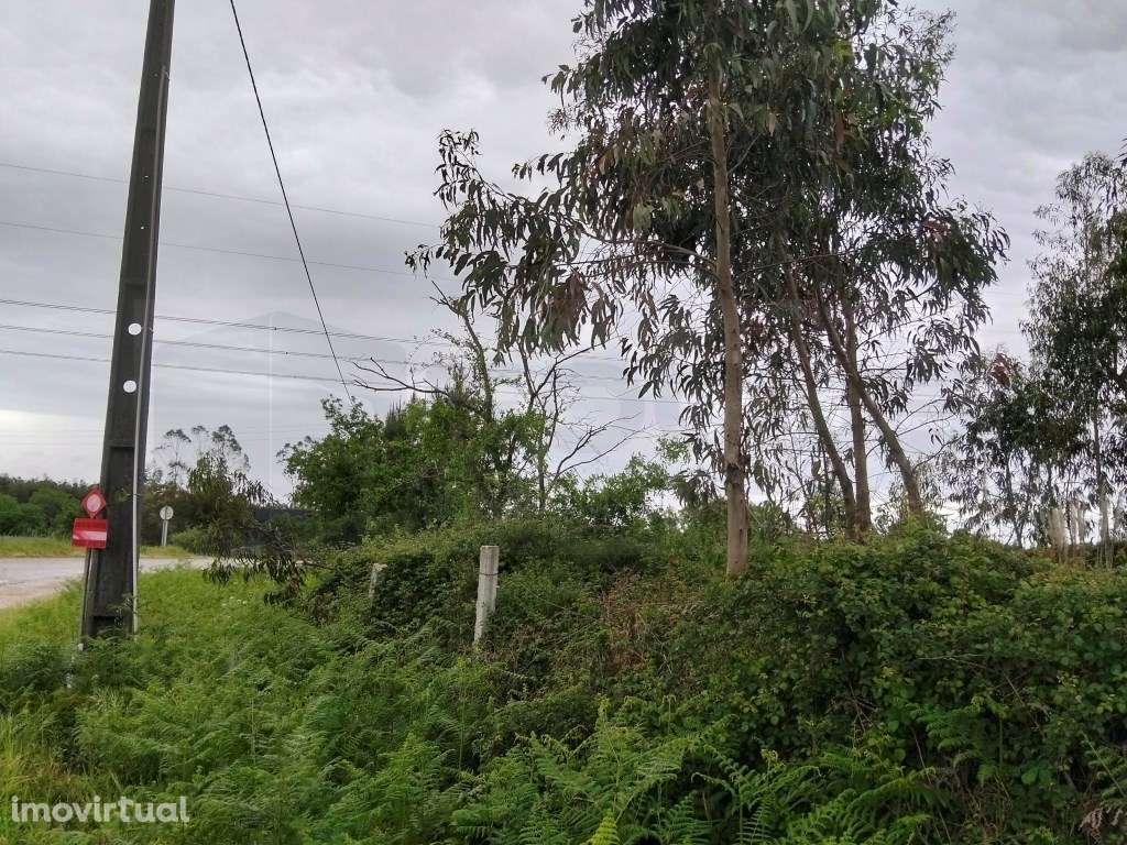 Terreno Industrial com 8.702m² - Localização Premium junto à A25 (A... - Grande imagem: 2/15