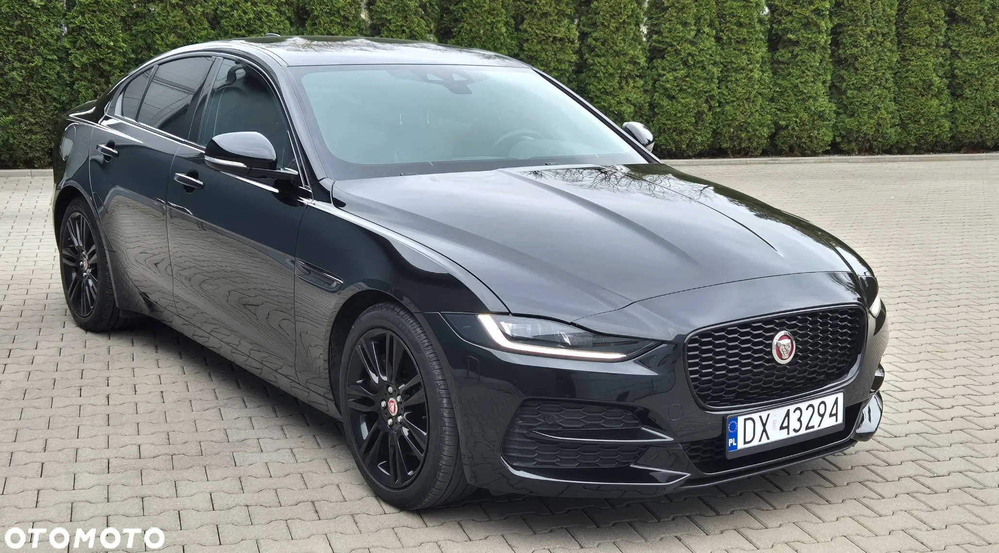 Jaguar XE - 17
