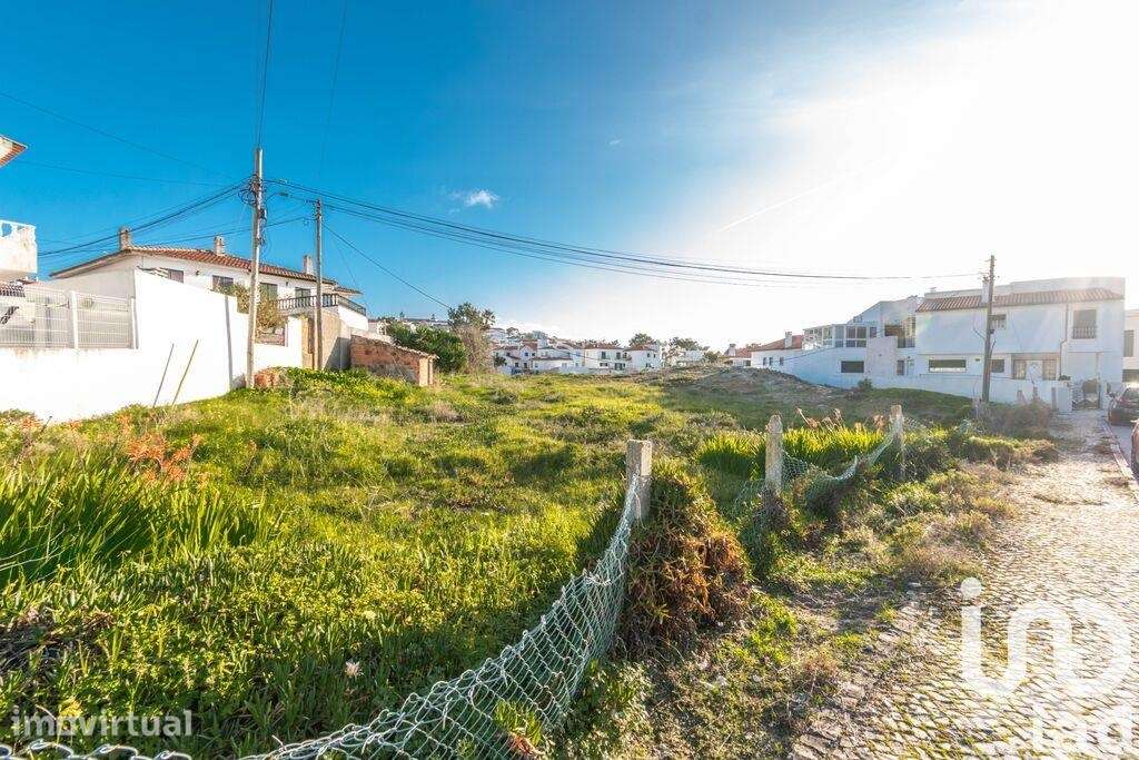Terreno Agrícola em Nazaré - Grande imagem: 3/7