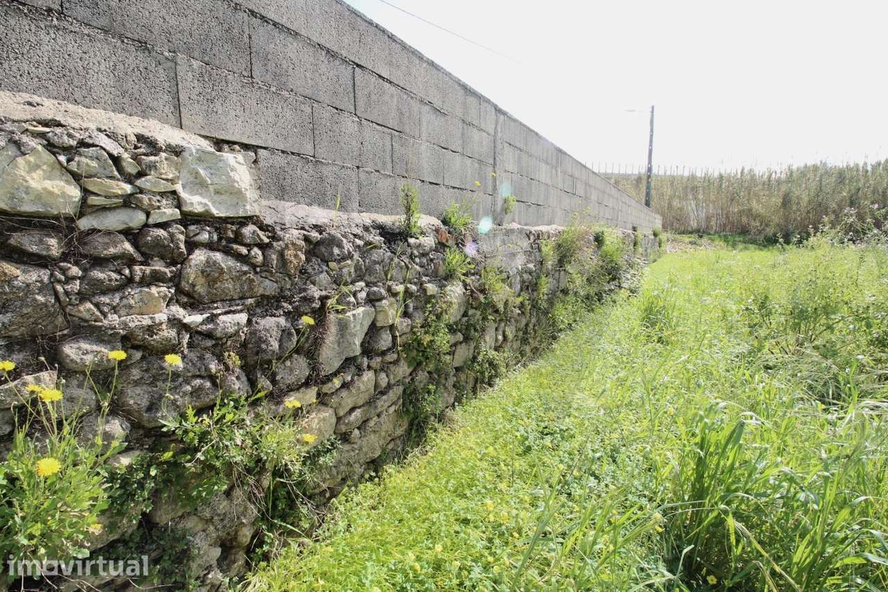 Lote Terreno Ribeira de Frades, 2430m2 - Grande imagem: 3/9