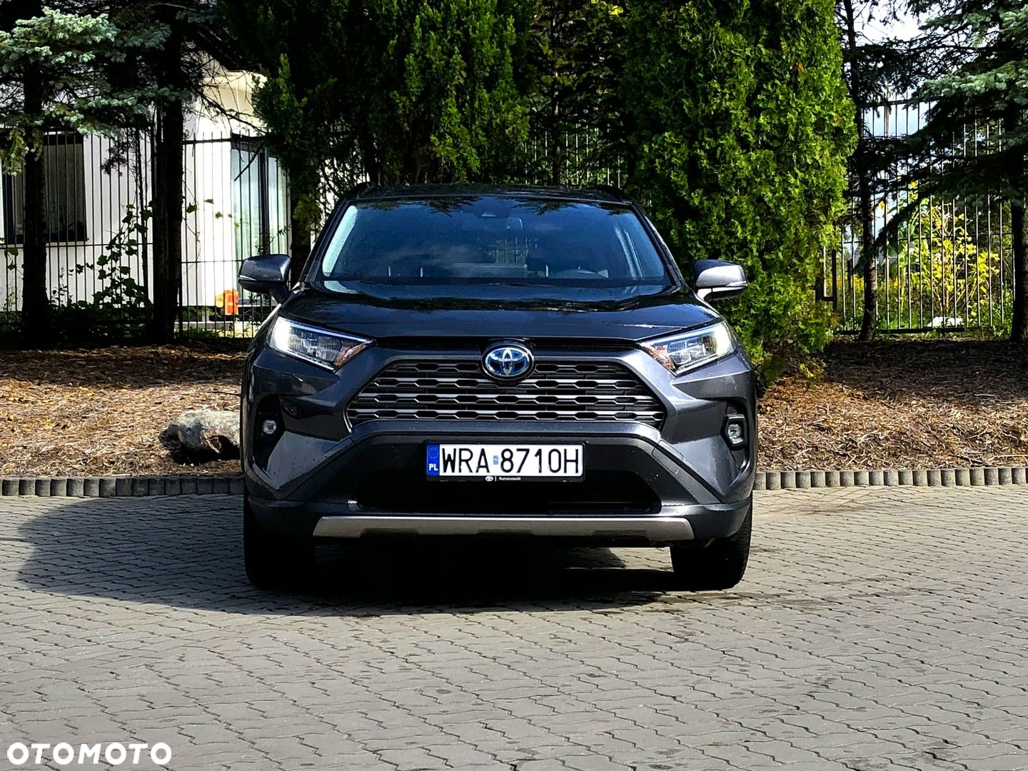 Toyota RAV4 - 32