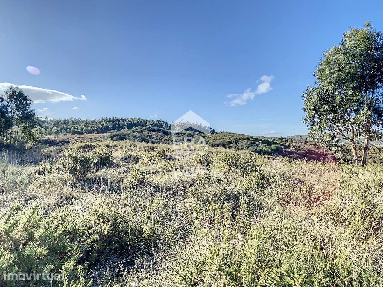 Terreno com 4.810m2 - Grande imagem: 3/10