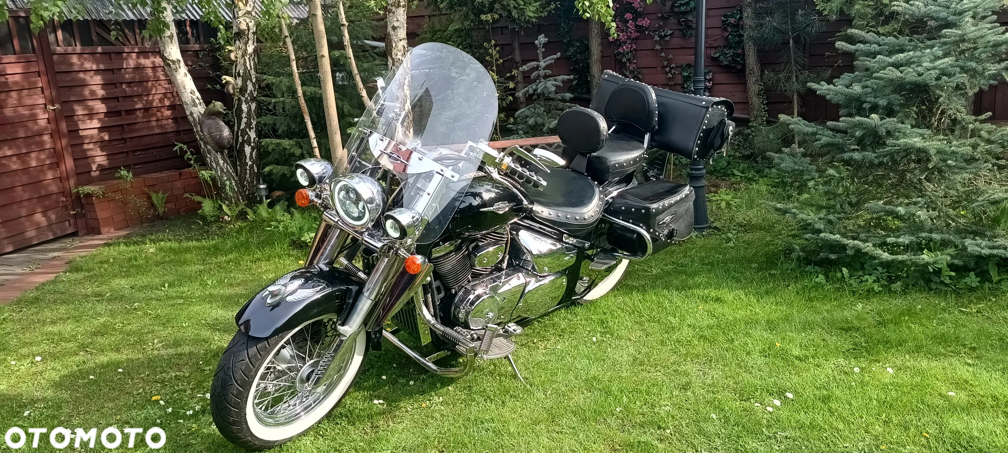 Suzuki VL 800 Volusia - Boulevard C50 - 3