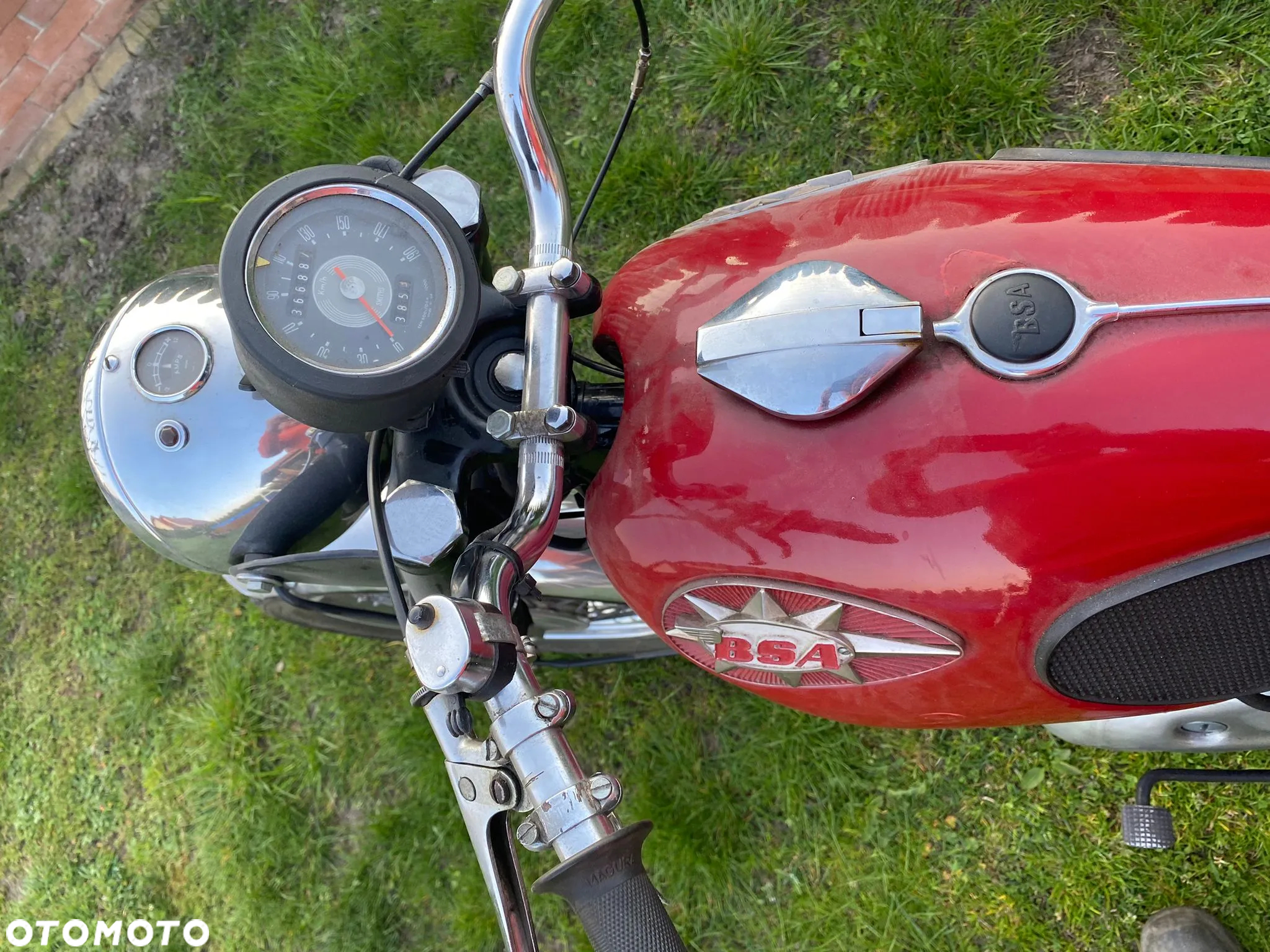 BSA Inny - 14