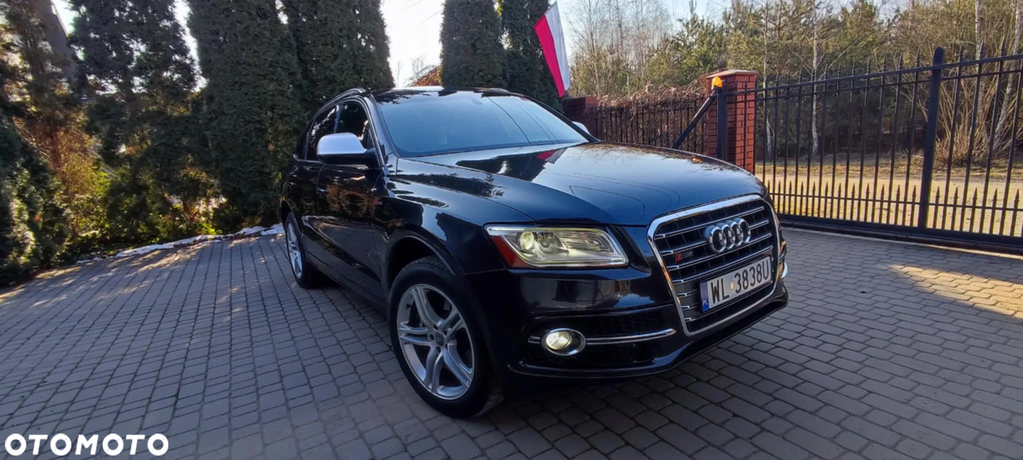 Audi SQ5 3.0 TFSI Quattro Tiptronic - 11