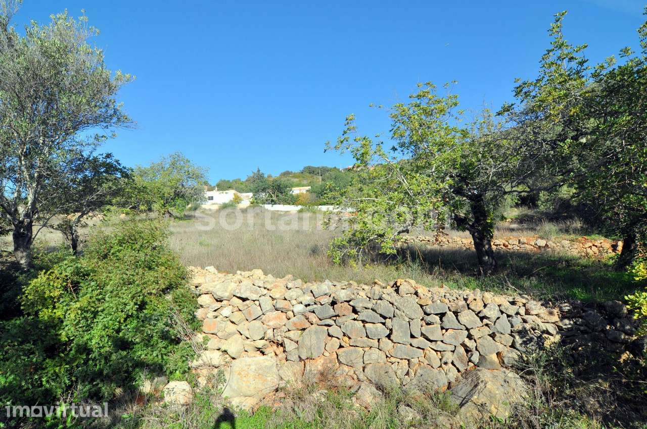 Moradia Devoluta T4 Venda em Conceição e Estoi,Faro - Grande imagem: 2/9